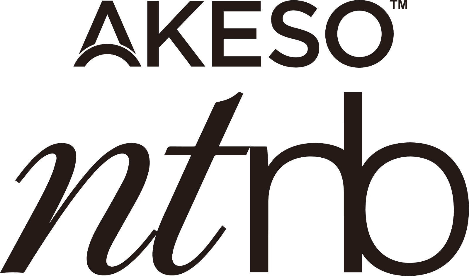 AKESO ntnb Logo